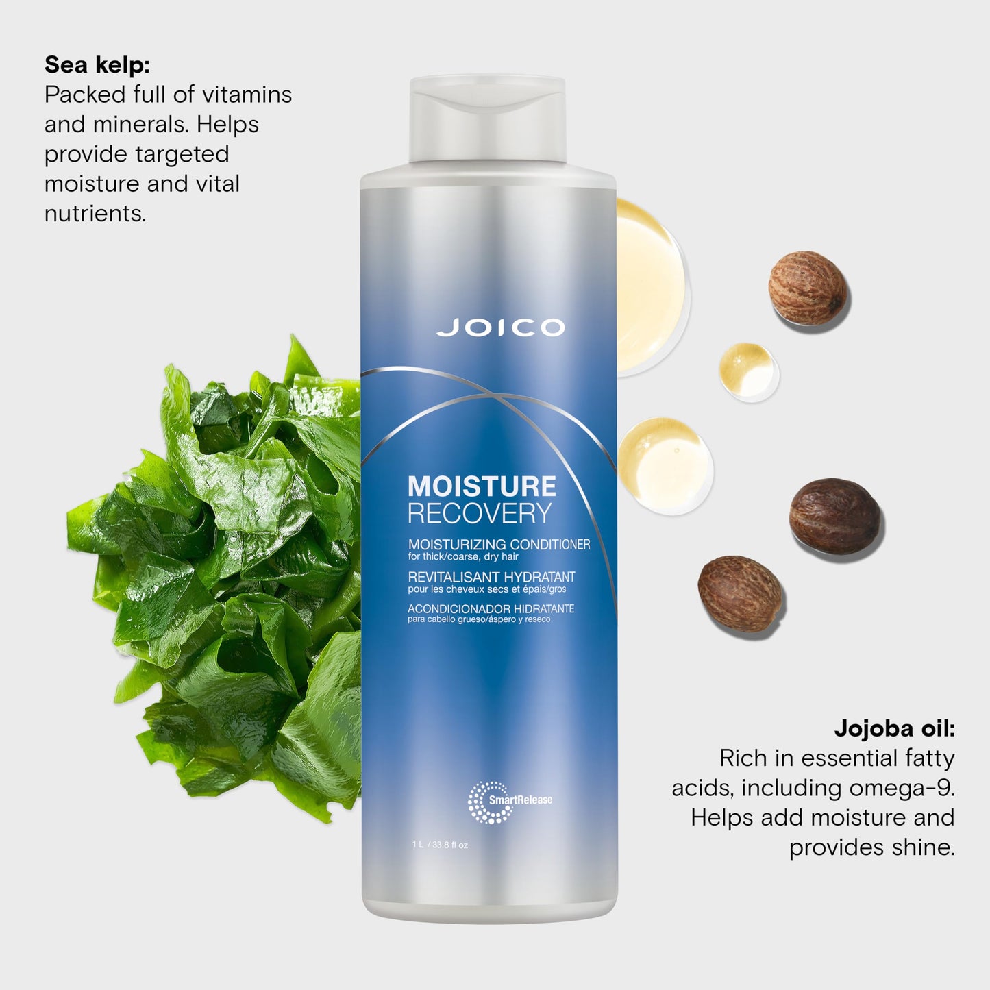 Joico Moisture Recovery Moisturizing Conditioner | For Thick, Coarse, Dry Hair | Restore Moisture, Smoothness, Strength, & Elasticity | Reduce Beauty & Personal Care Joico