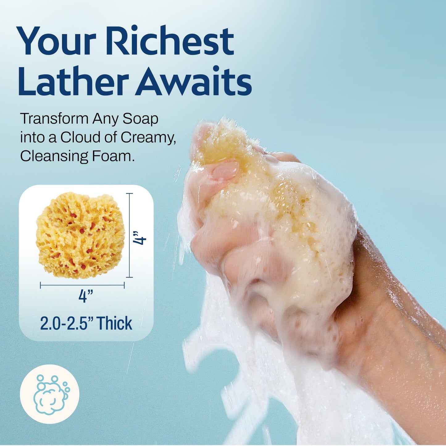 HartFelt Delicate Skin Wool Sea Sponge 4 in | Real Natural Sponges for Body and Face Gentle Care | Luxurious Lather Beauty & Personal Care HartFelt