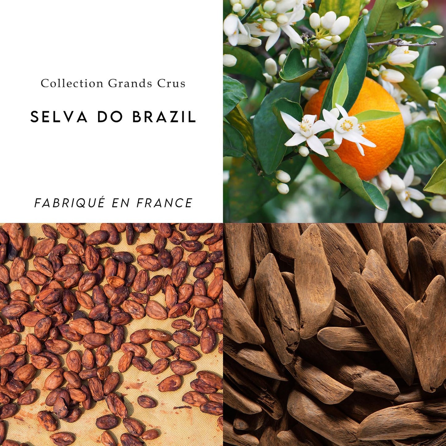 Berdoues Eau de Parfum Spray , Selva Do Brasil, For Women and Men 3.4 fl. oz. Beauty & Personal Care Berdoues