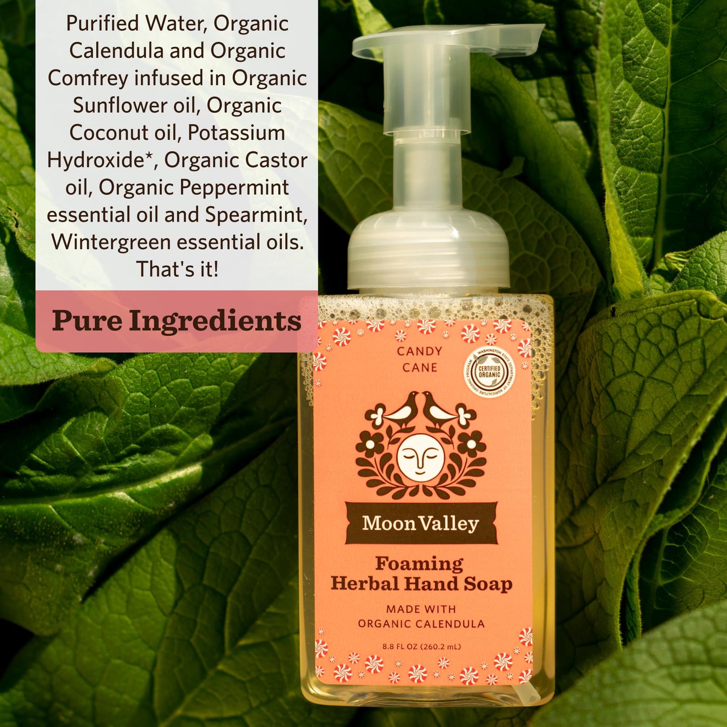 Moon Valley Herbal Foaming Hand Soap, Vegan (Candy Cane, Recyclable Bottle) Beauty & Personal Care Moon Valley Organics