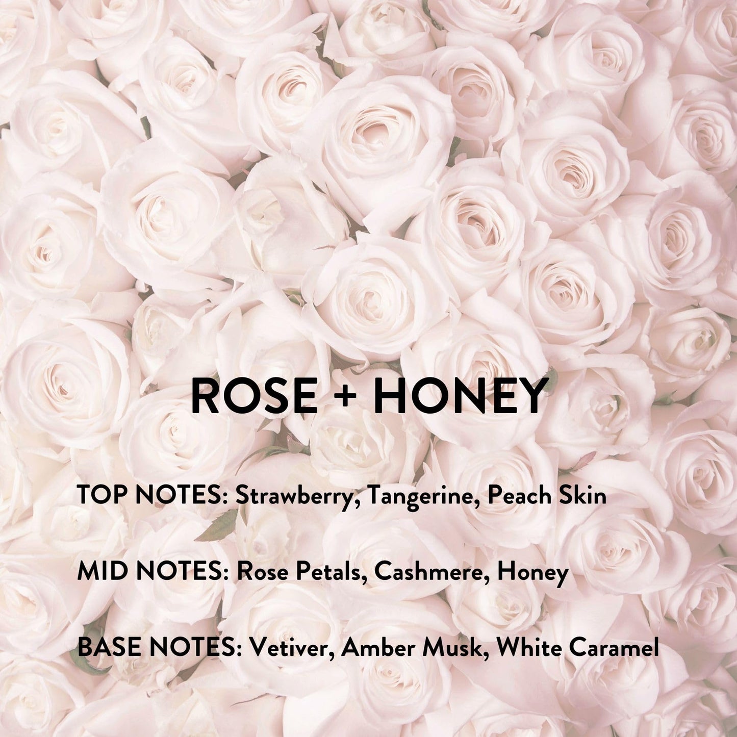 Michael Malul Rose + Honey Eau de Parfum for Women - 10ml Travel Size Beauty & Personal Care Michael Malul