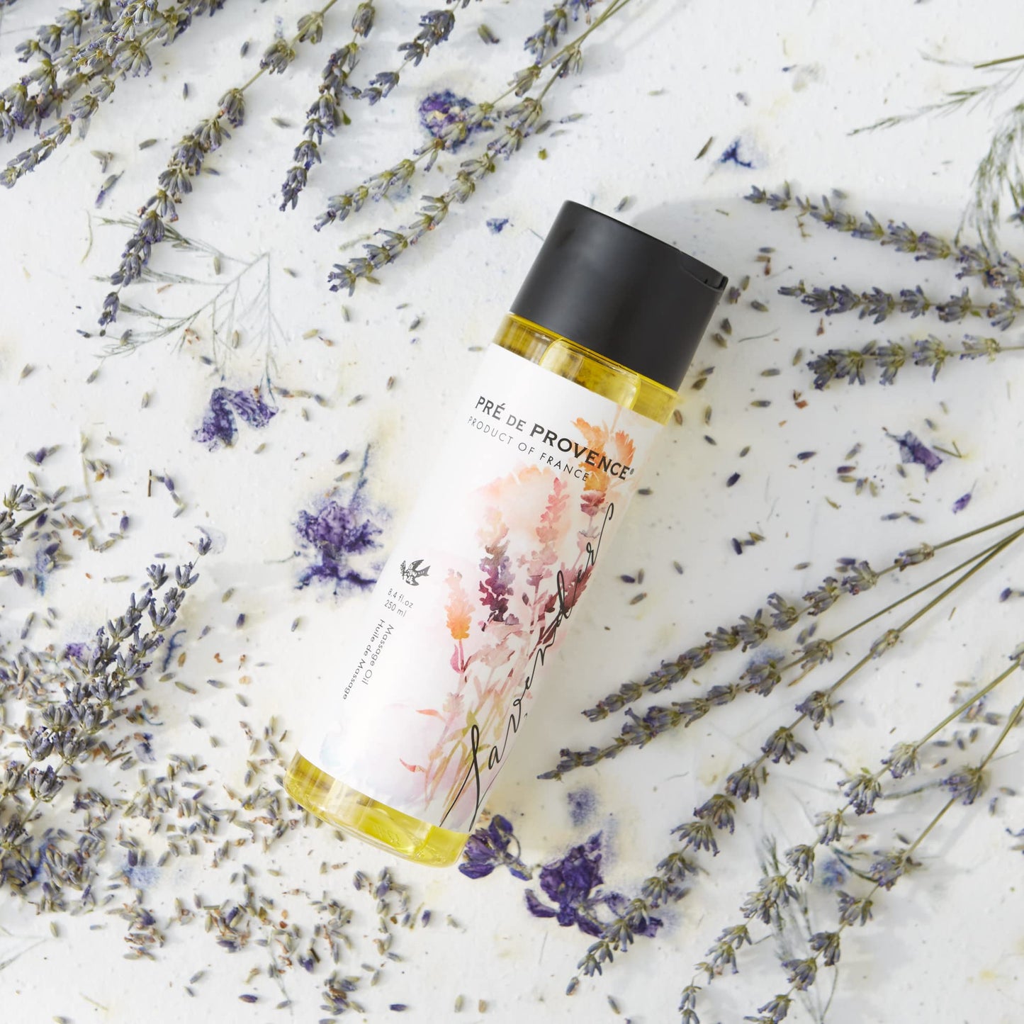 Pre de Provence Provincial Collection Lavender Oil Infused, Luxurious & Soothing, Massage Oil, 8.4 Fl Oz Beauty & Personal Care Pre de Provence