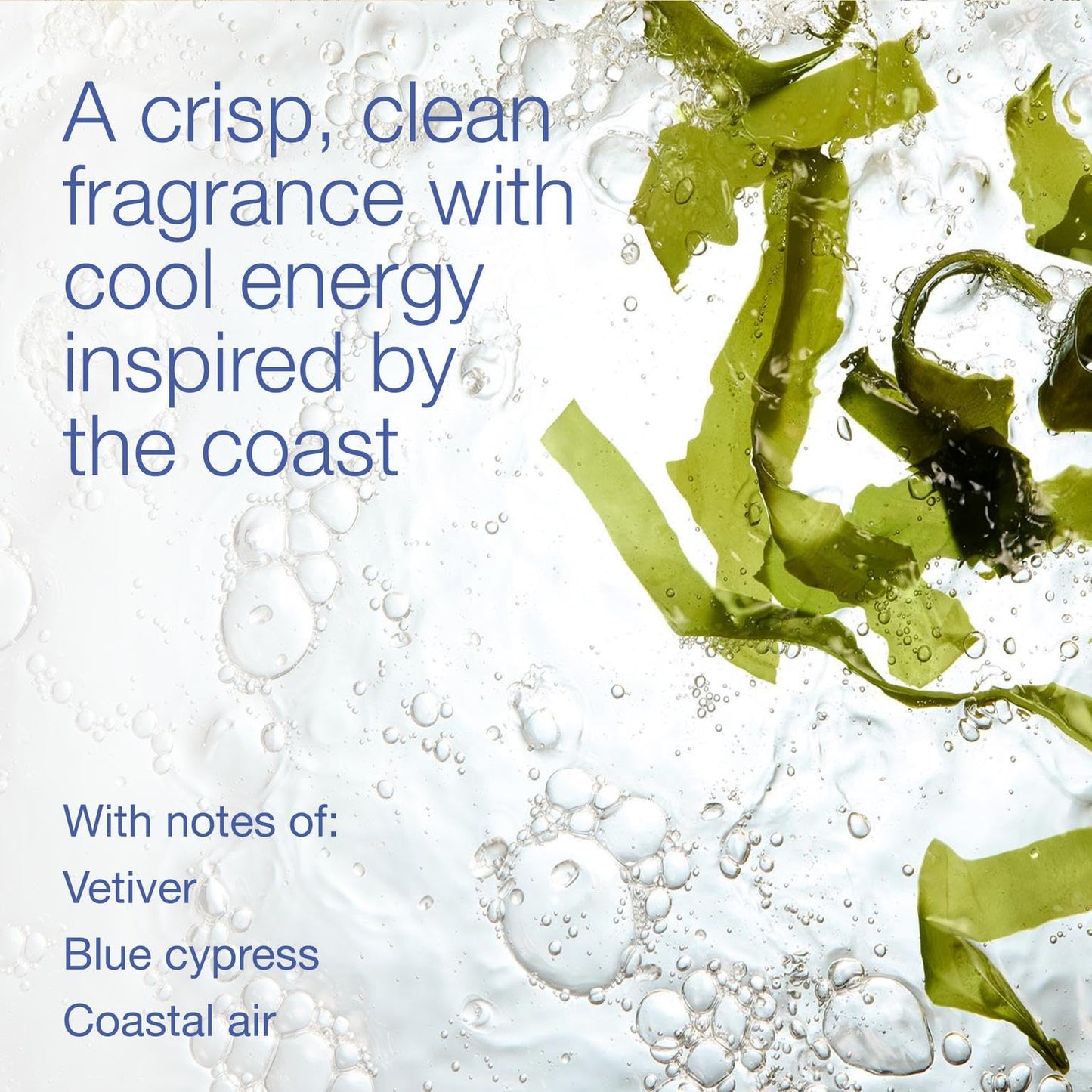 Bath & Body Works Body Spray for Men, Ocean Scent, Men’s Spray with Long-Lasting Personal Fragrance, Fresh Coastal Air & Cypress Scent, 3.7 oz - 1 Beauty & Personal Care Bath & Body Works