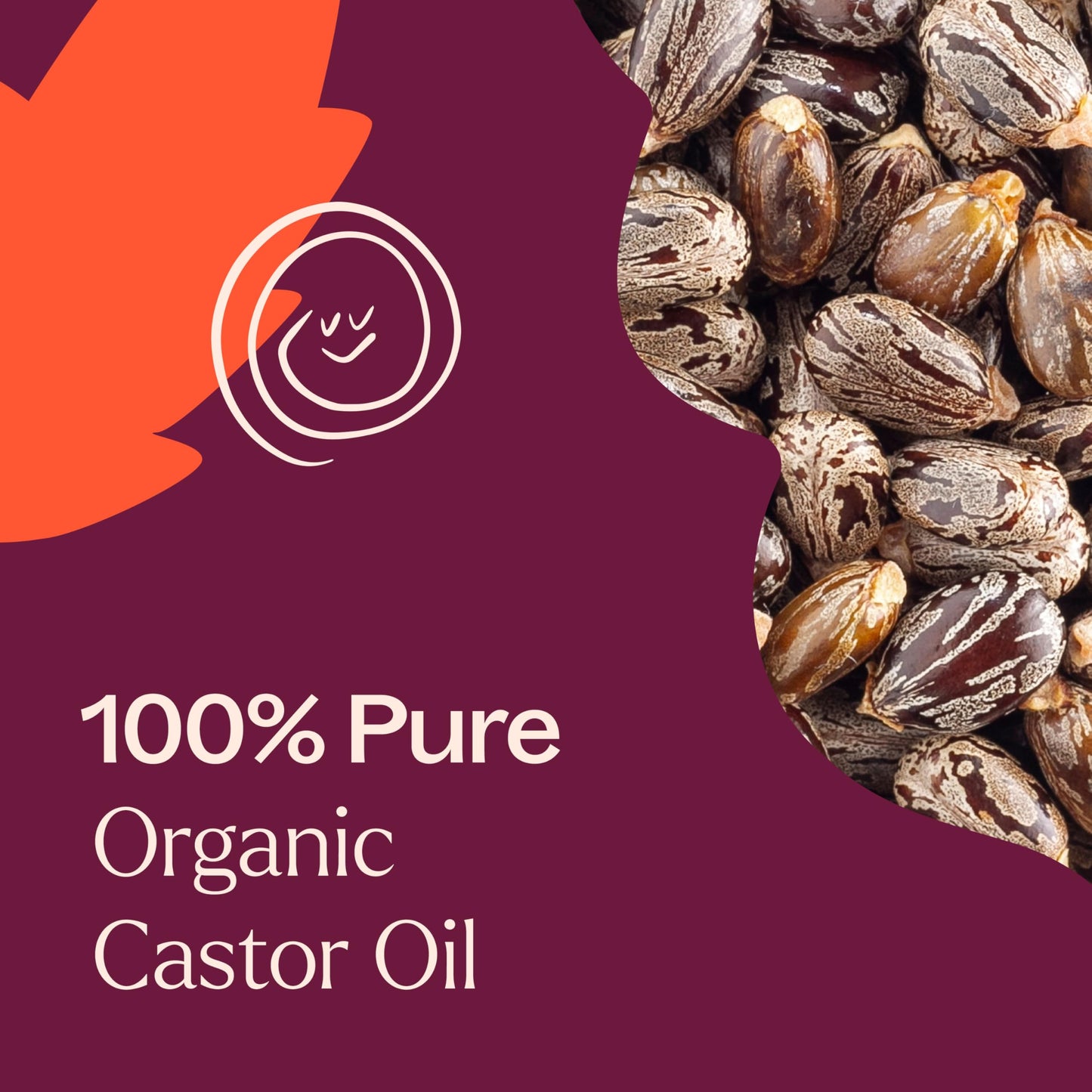 Plant Therapy Organic Castor Oil Roll On 30 mL (1 oz) Convenient Mess-Free Body Oil Roll-on for Easy Application, Cold-Pressed & Hexane-Free Beauty & Personal Care Plant Therapy
