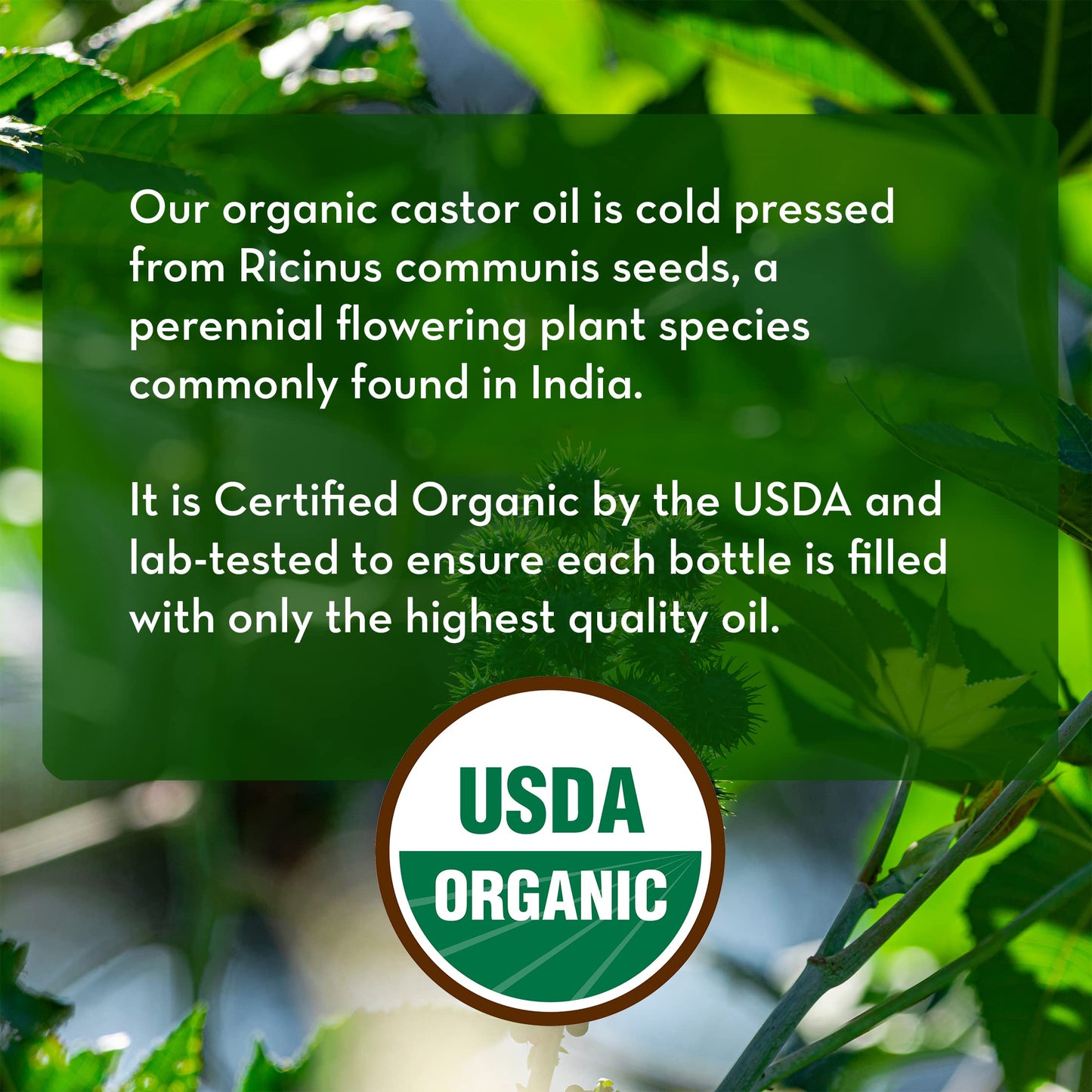 Pure Body Naturals Castor Oil for Face, Hair Growth, Skin, and Body - Cold Pressed Organic Castor Oil Aceite De Ricino Hexane Free Unrefined - 16 fl Beauty & Personal Care Pure Body Naturals