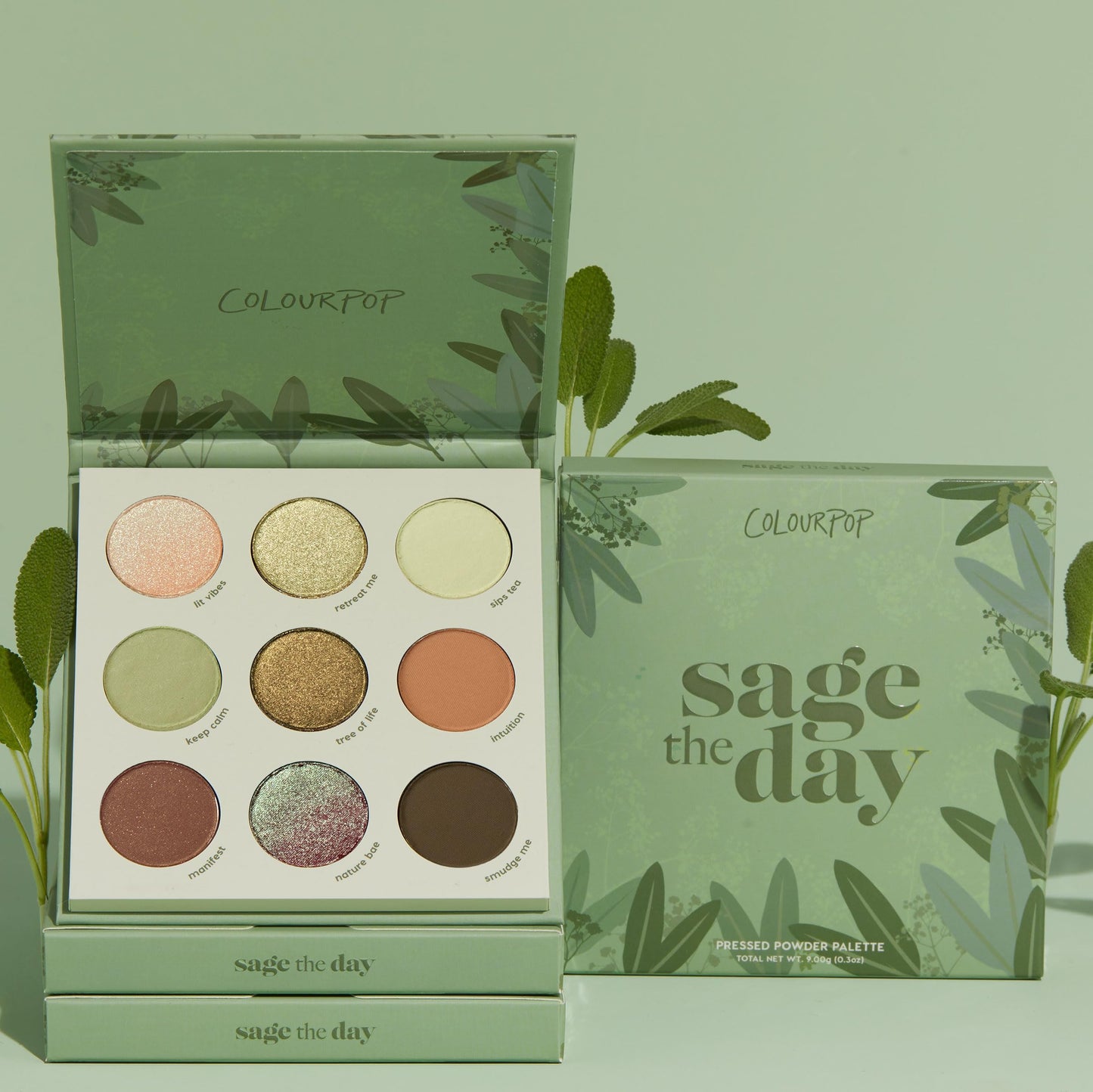 ColourPop Sage the Day Eyeshadow Palette - Sage & Olive Palette with Metallic and Matte Finishes - High-Pigment Eye Makeup with a Long-Wearing Formula Beauty & Personal Care ColourPop