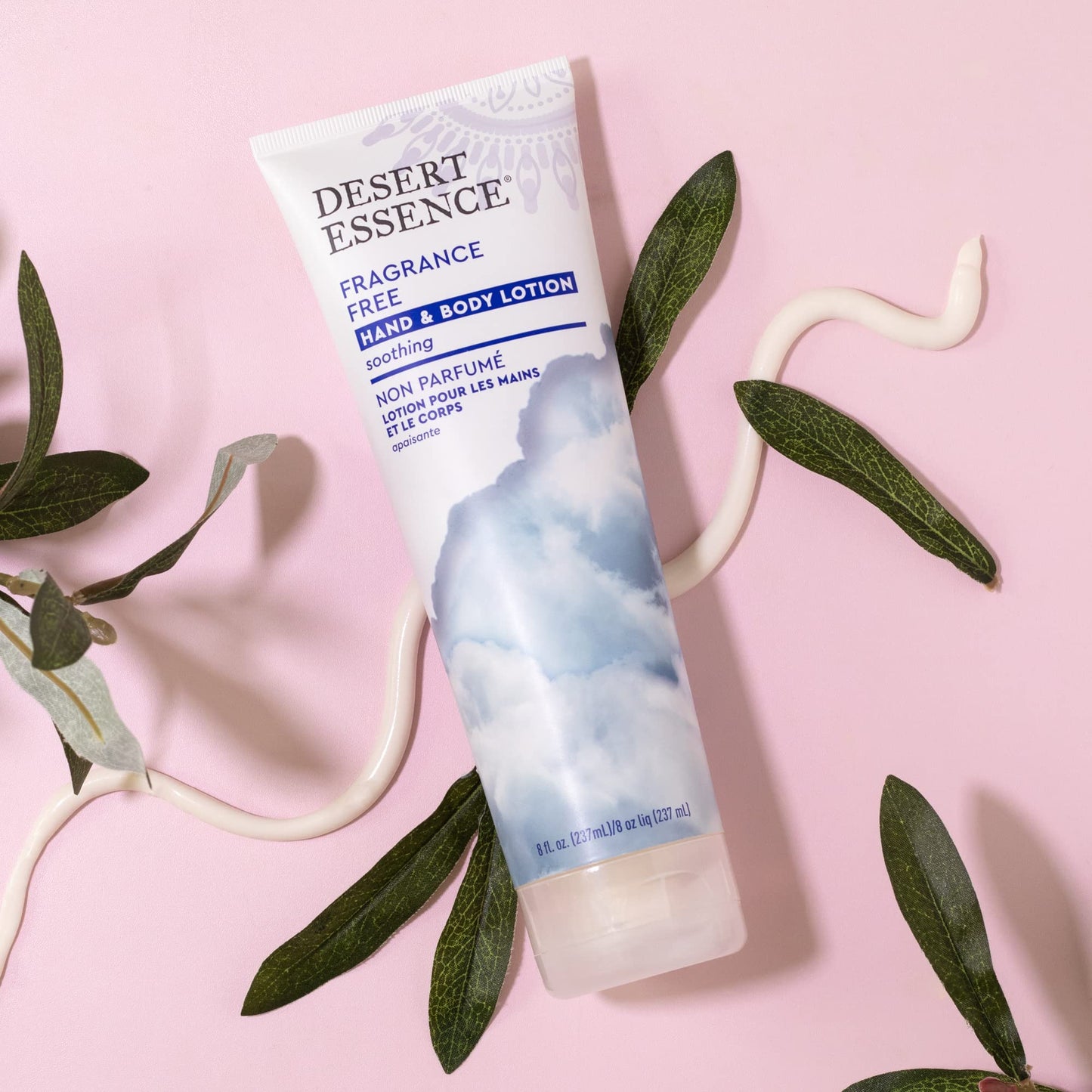 Desert Essence Fragrance Free Hand & Body Lotion - 8 Fl Ounce - Soothing - Aloe Vera - Shea Butter - Green Tea - Coconut Oil - Jojoba Oil Beauty & Personal Care Desert Essence