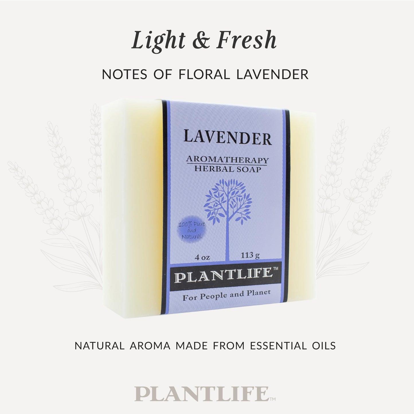 Plantlife Lavender Bar Soap - Moisturizing and Soothing Soap for Your Skin - Hand Crafted Using Plant-Based Ingredients - Made in California 4oz Bar Beauty & Personal Care Plantlife