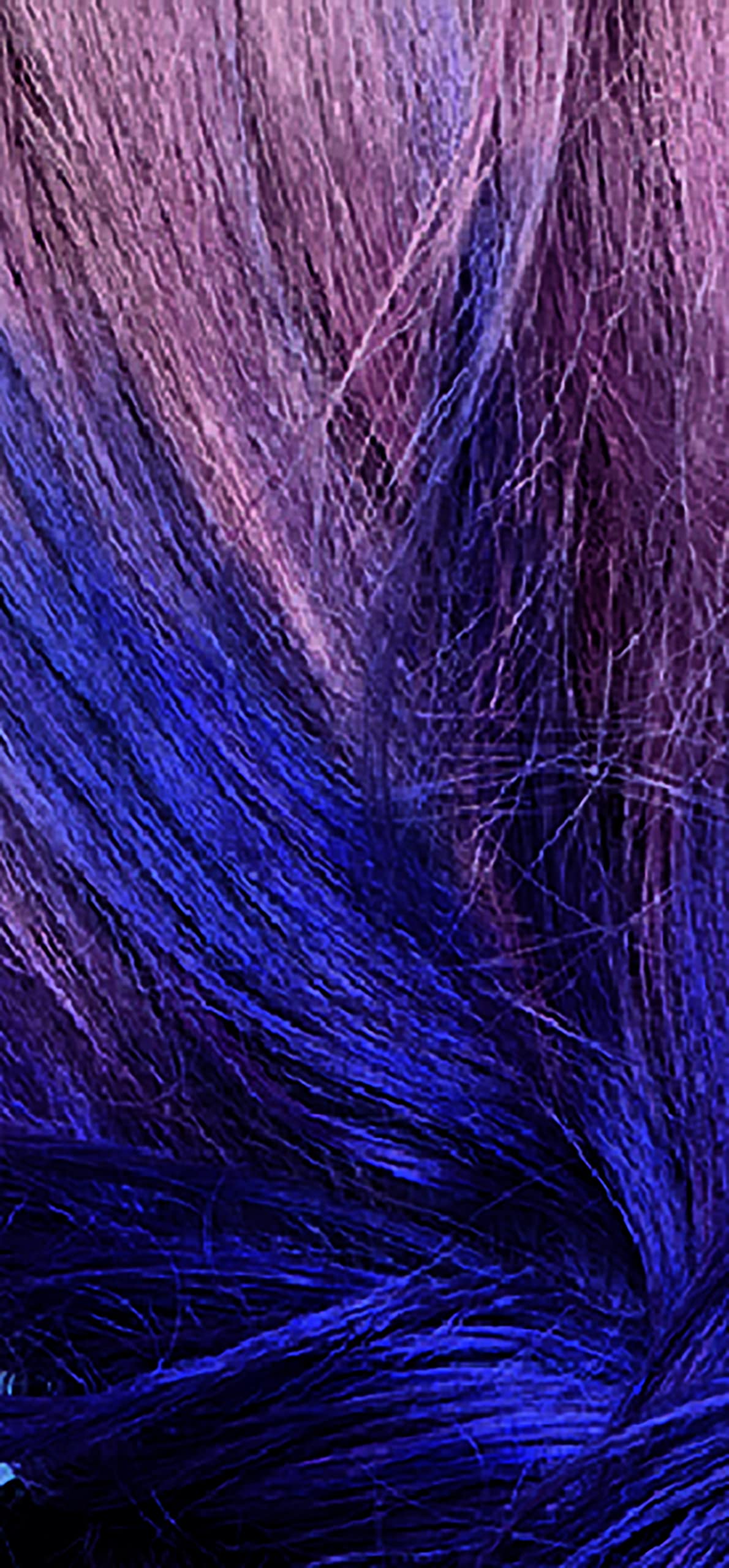 L'Oreal Paris Colorista 1-Day Washable Temporary Hair Color Spray, Purple, 2 Ounces Beauty & Personal Care L'Oreal Paris