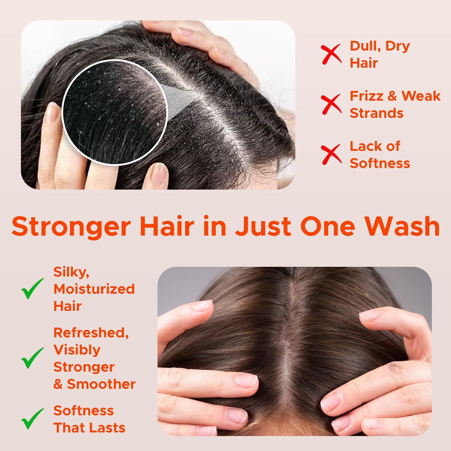 Nora Ross Garlic Extract & Rosemary Strengthening Shampoo and Conditioner Set - Natural Shampoo and Hair Conditioner for Normal to Dry, Brittle Hair Beauty & Personal Care Nora Ross, Inc.