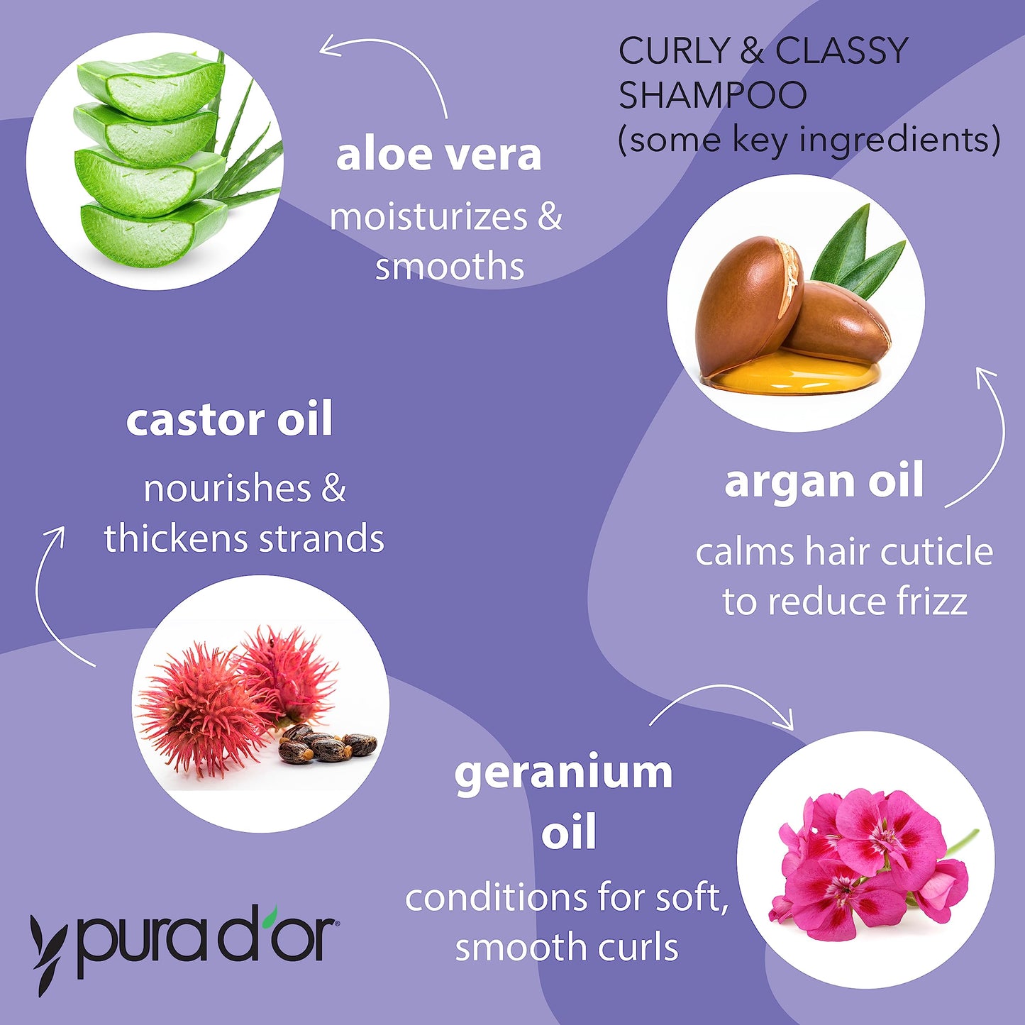 PURA D'OR Curly & Classy Shampoo & Conditioner Set for Defined Curls - Nourishing Formula with Argan, Castor, Geranium, Coconut & Kukui Seed Oils Beauty & Personal Care PURA D'OR