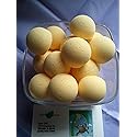 Spa Pure Shea Bath Bombs: Jamaican ME Crazy Bath Bomb Fizzies (14) 1 oz Each with Shea Butter, Ultra Moisturizing...Great for Dry Skin (Jamaican Me… Beauty & Personal Care Spa Girl/Spa Pure