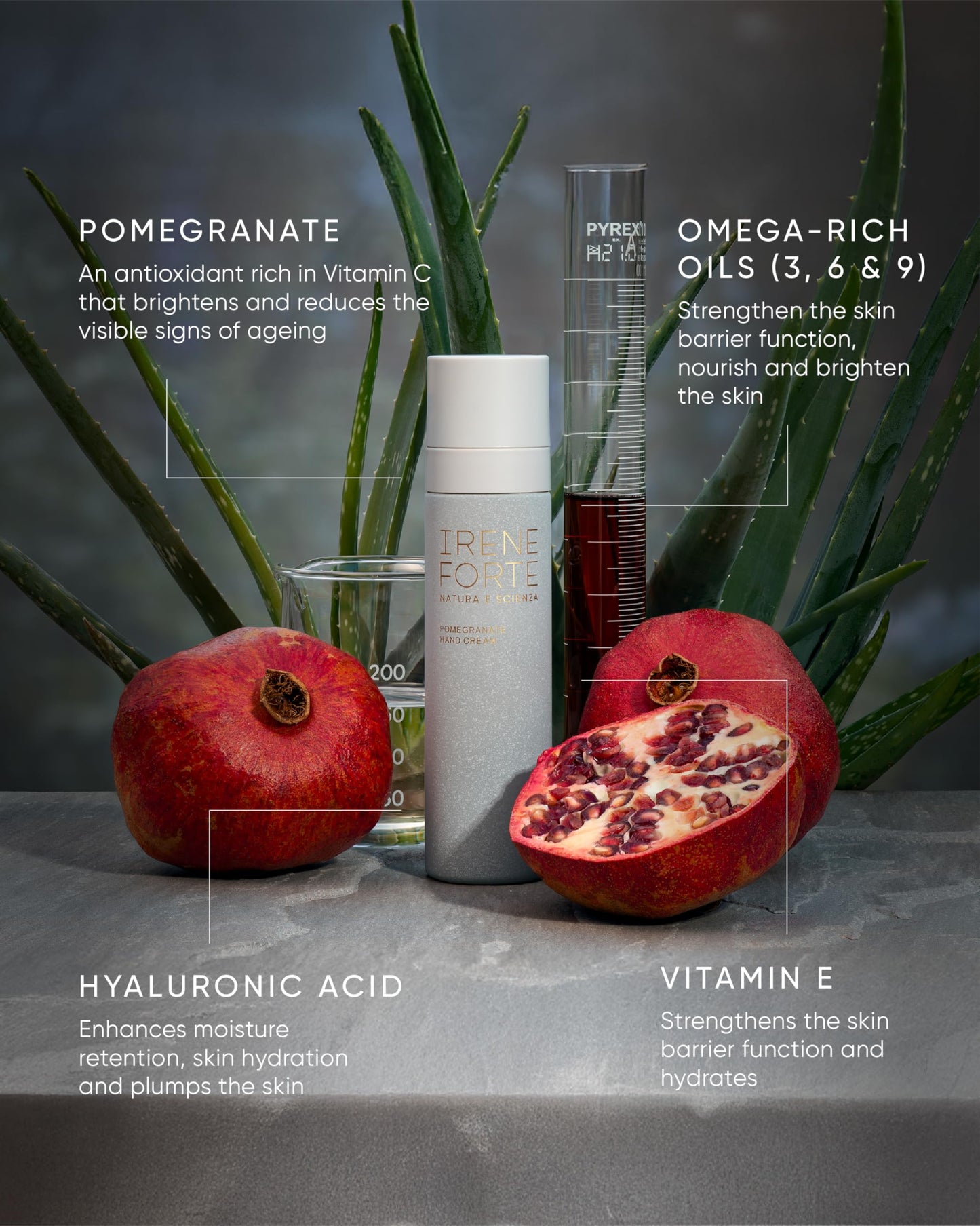 Irene Forte, Pomegranate Hand Cream, 1.69 FL OZ Beauty & Personal Care Irene Forte