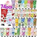 74 Pack Bulk Hand Cream,Stocking Stuffers for Teen Girls,Christmas Gifts for Coworkers,Teacher, Appreciation Gifts,Bulk Gifts for Nurse,Small Party Beauty & Personal Care CMWGKBC