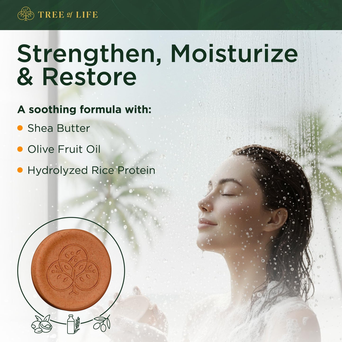 Tree of Life Rice Water Shampoo Bar - Sulfate Free Rice Protein Hair Care That Strengthens, Repairs, and Delivers Frizz Control with Silky Shine (2 Beauty & Personal Care Tree of Life