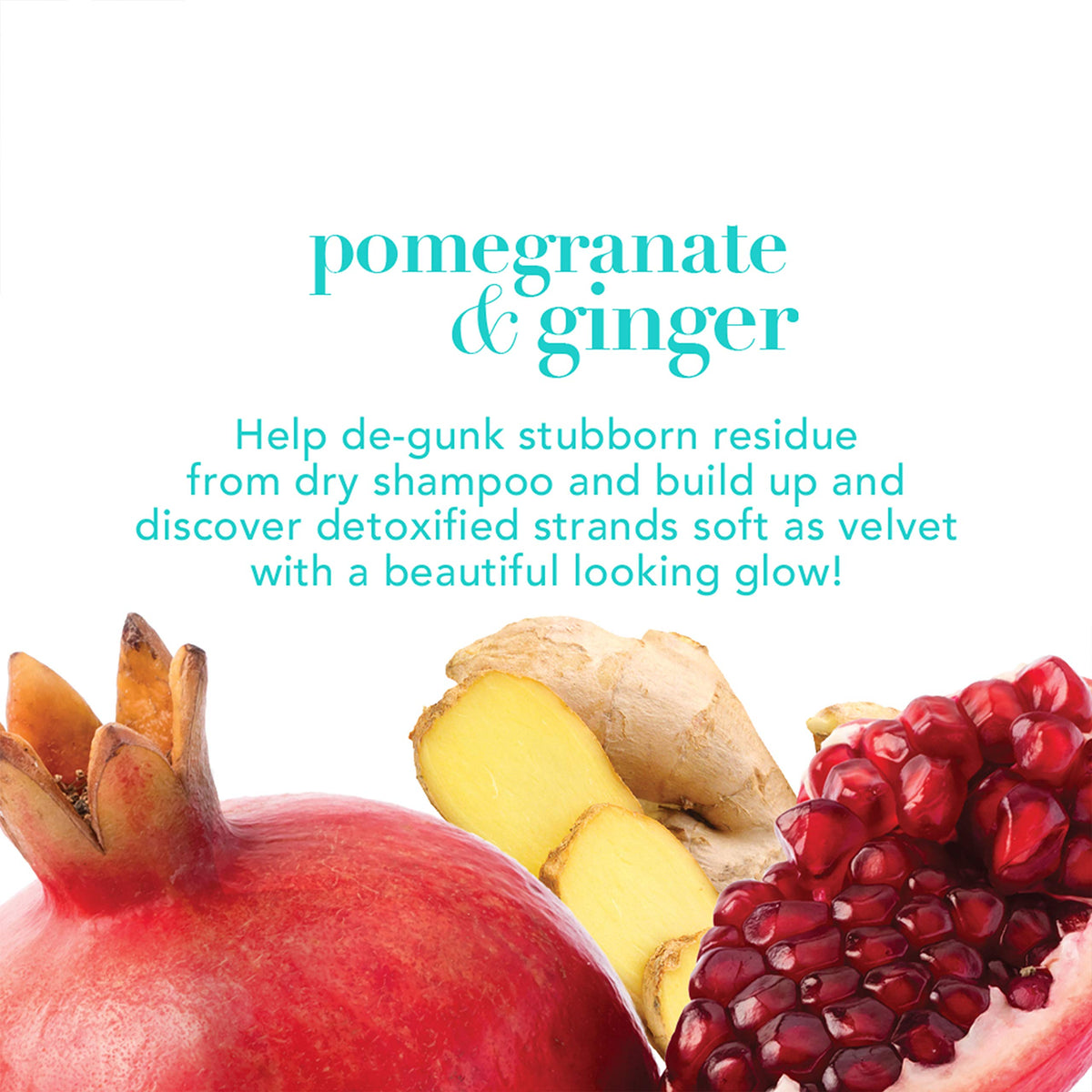 OGX Detoxifying + Ginger Conditioner, Pomegranate, 13 Fl Oz Beauty & Personal Care OGX