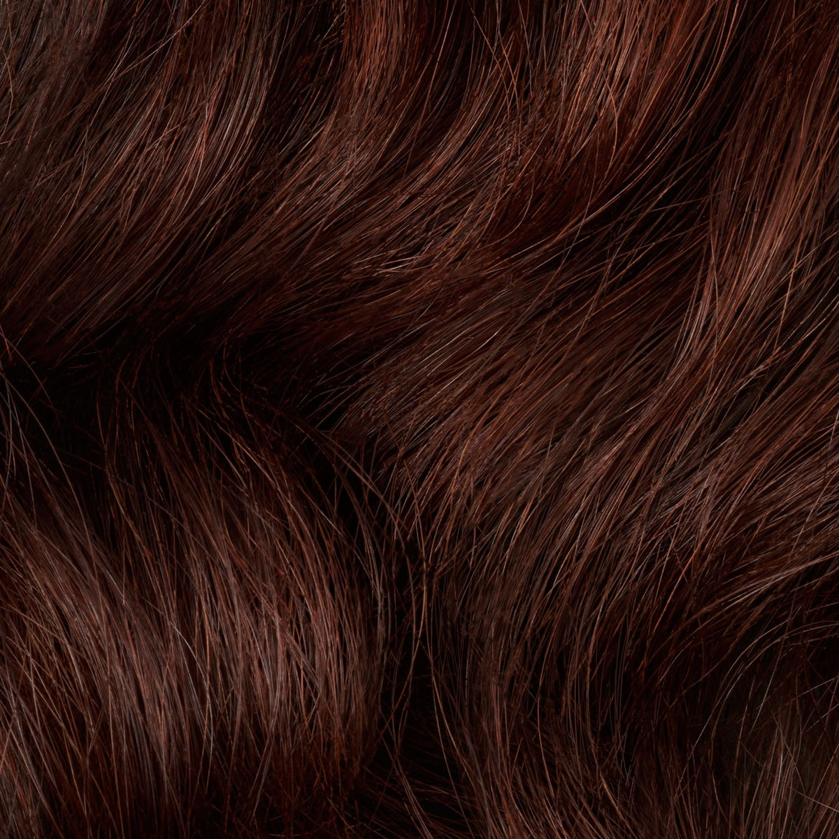 Clairol Professional Permanent Liquicolor, 5r Lightest Red Blonde, 2 Fl Oz - Packaging May Vary Beauty & Personal Care Clairol Professional