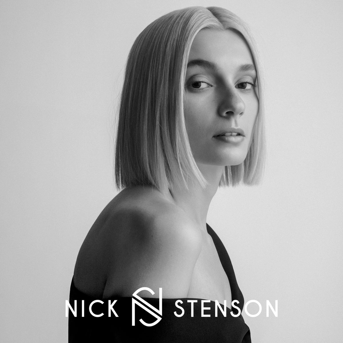 Nick Stenson Leave-In Conditioner, Hydrating Leave-In for Color-Treated & Highlighted Hair - Adds Shine, Smoothness & Provides Strength &
