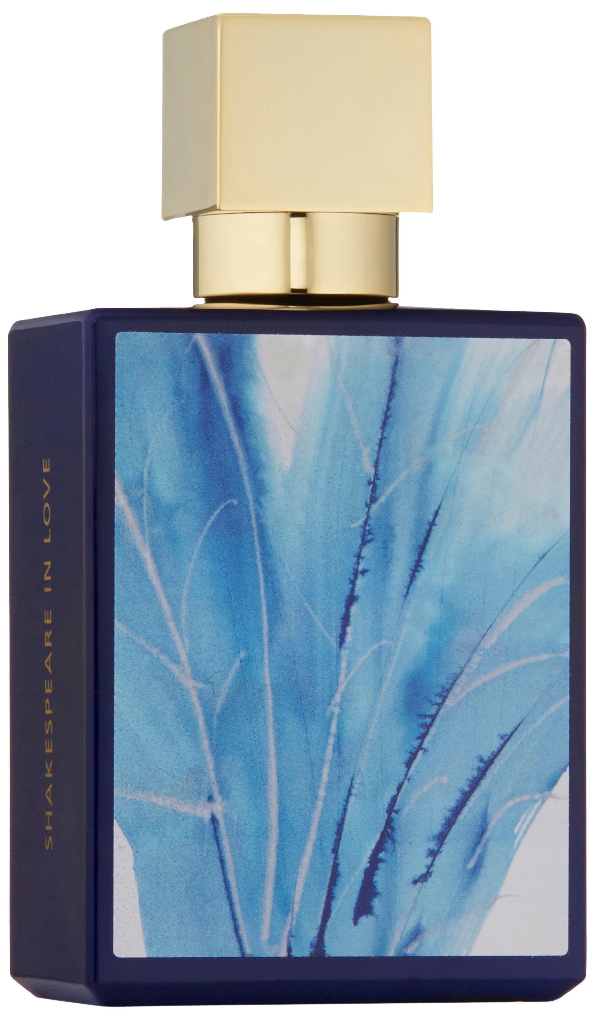 A Dozen Roses Shakespeare In Love Eau de Parfum Spray, 3.4 Fl Oz Beauty & Personal Care A Dozen Roses