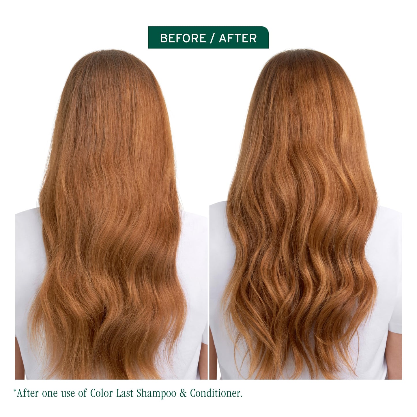 Biolage Color Last Shampoo - For Color-Treated Hair, Nourishes, Strengthens, Hydrates and Adds Shine, Soybean Oil & Stearic Acid, Paraben & Mineral Beauty & Personal Care Biolage