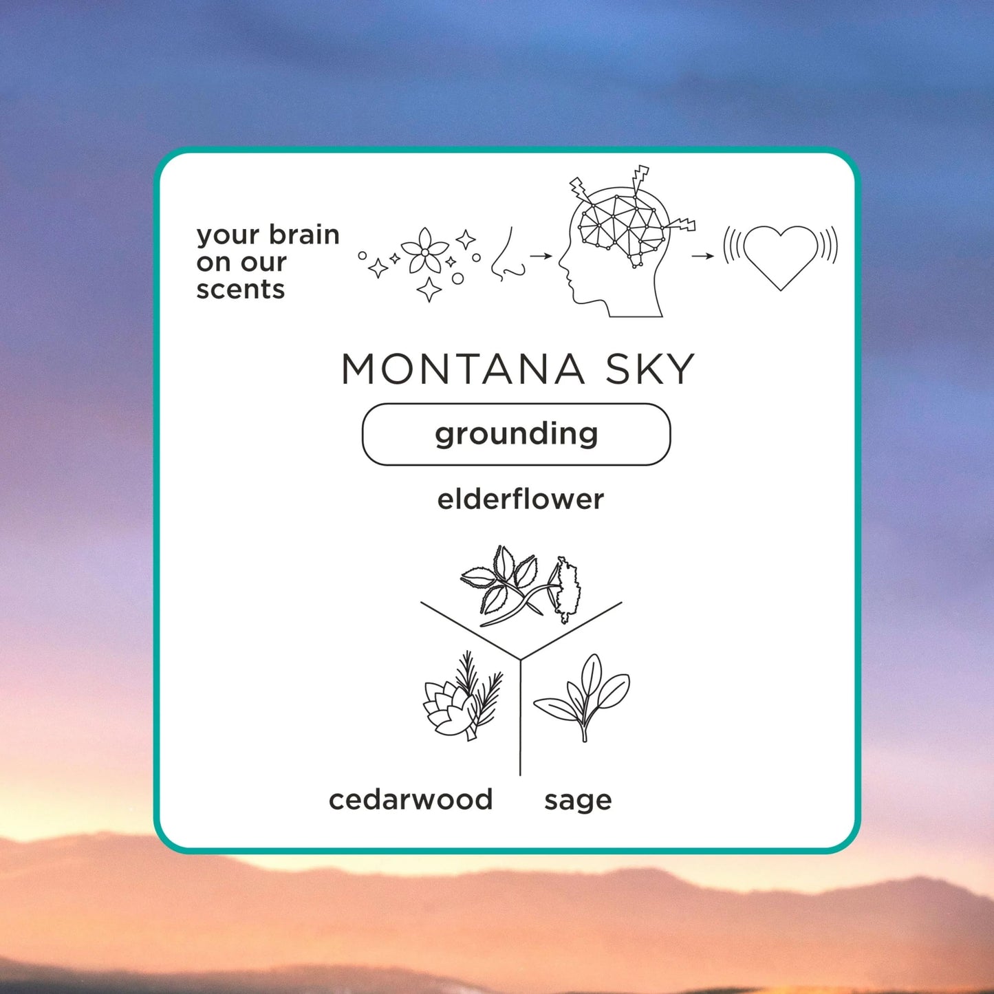 Pacifica Iconic Scents Gift Box - Montana Sky, Beach Day & Passionfruit - Nature-Inspired Fragrance Collection, Vegan & Cruelty-Free Beauty & Personal Care Pacifica