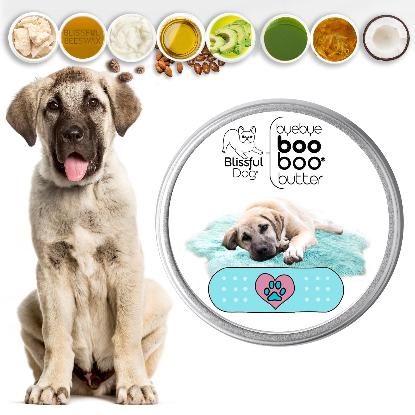 The Blissful Dog Anatolian Shepherd Boo Boo Butter, 1 Ounce Beauty and Personal Care The Blissful Dog