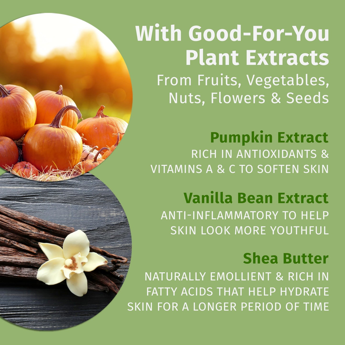 Limited Edition Pumpkin Spice & Vanilla Chai Herbal Moisturizing Body Lotion (17 oz) - Fall Scented for Women or Men with Dry or Sensitive Skin Beauty & Personal Care Hempz