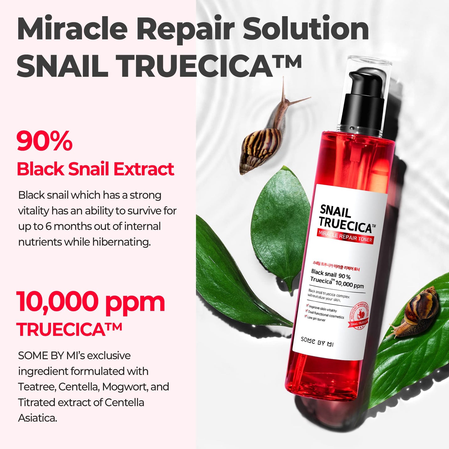 SOME BY MI Snail Truecica Miracle Repair Toner - 4.6Oz, 135ml - Made from Snail Mucin for Sensitive Skin - Daily Repair Face Toner with Skin Texture Beauty & Personal Care SOME BY MI