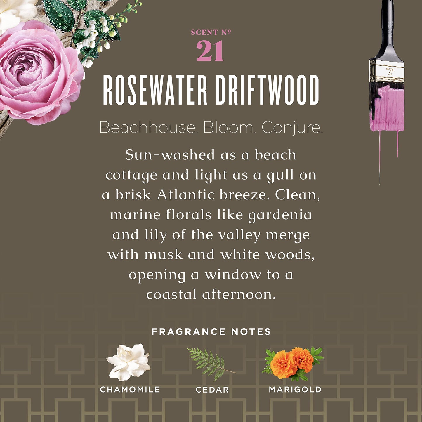 Caldrea Hand Wash Soap, Rosewater Driftwood Scent, 10.8 Oz Beauty & Personal Care Caldrea