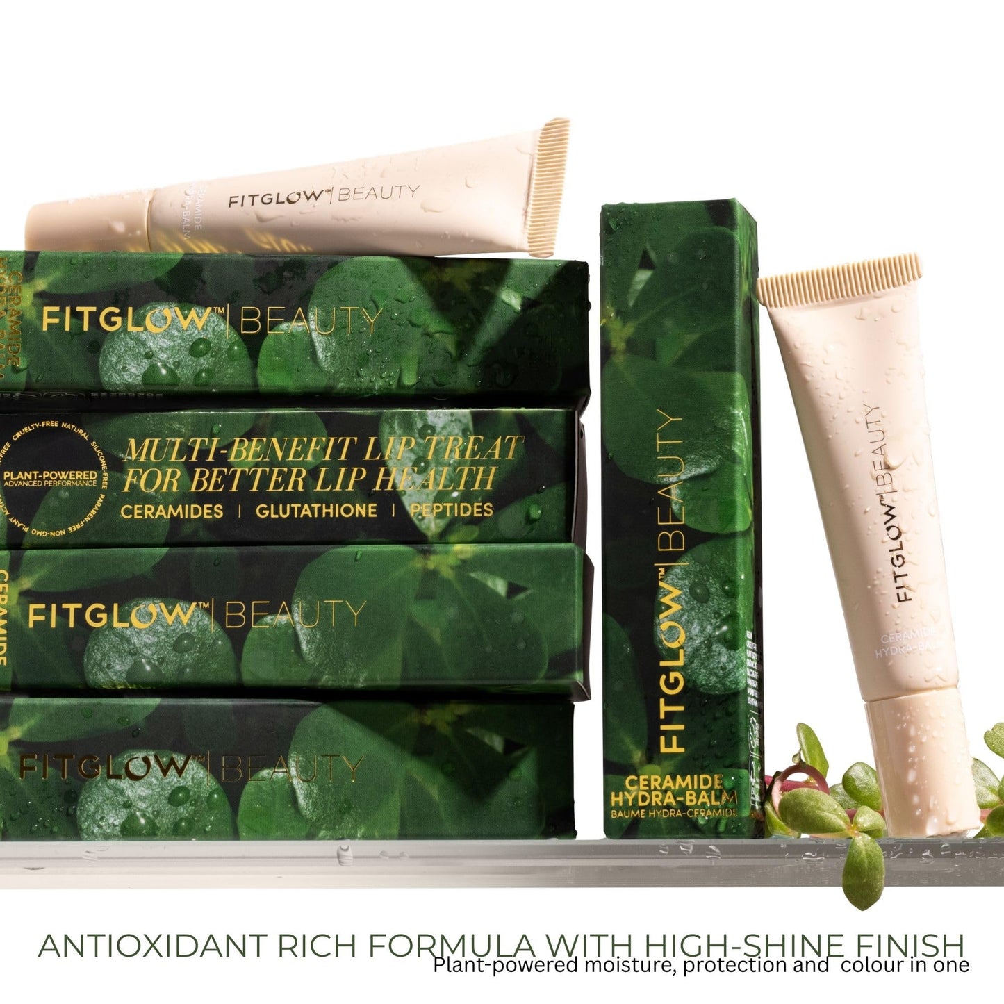 Fitglow Beauty Ceramide Hydra-Balm Lip Gloss - Hydrating Lip Serum with Peptides & Glutathione - Plumping & Anti-Aging Lip Treatment - Dry & Chapped Beauty and Personal Care FITGLOW