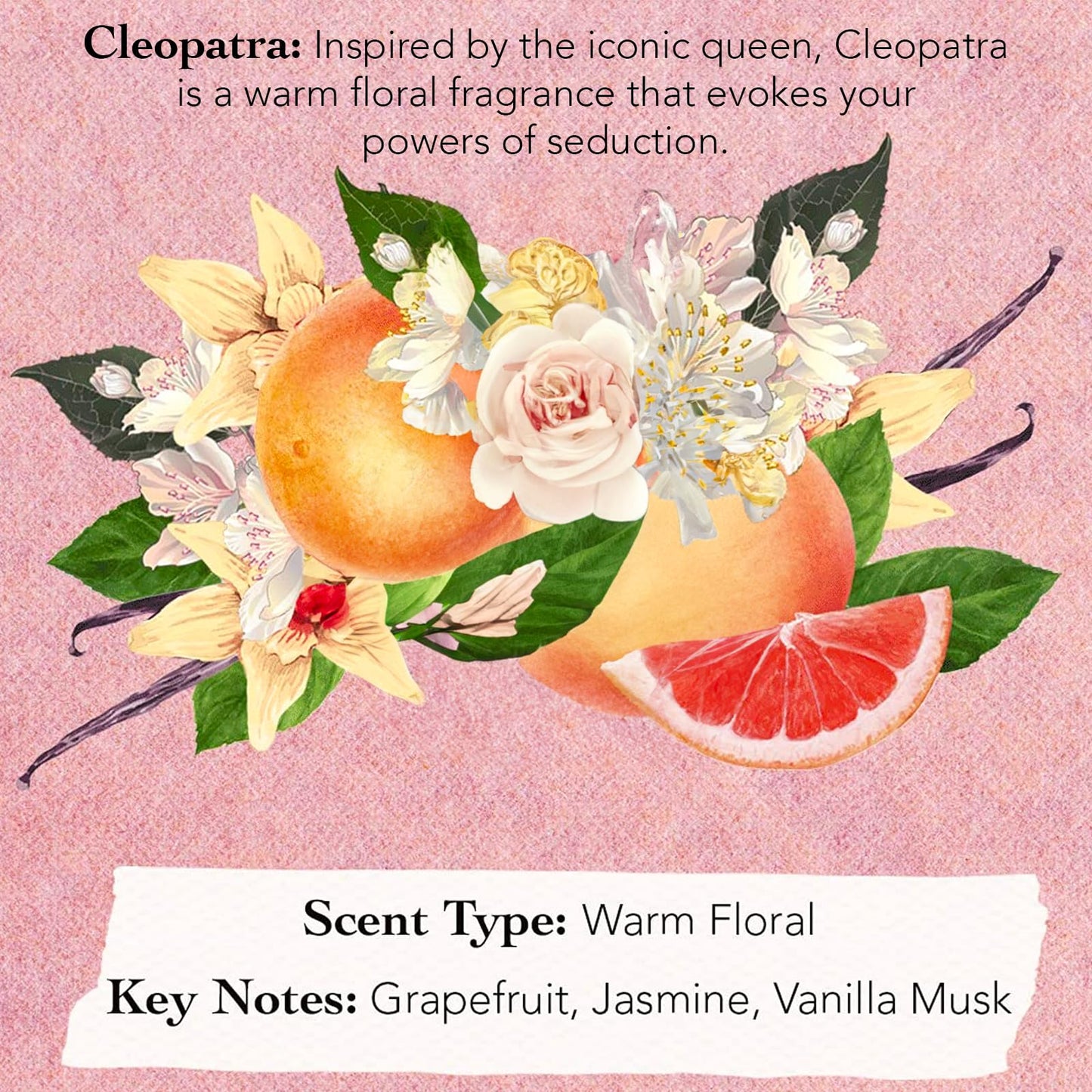 Tocca Women's Perfume Mini Discovery Sampler Set of 8, 1.5ml Each - Includes Cleopatra, Stella, Florence, Giulietta, Colette, Simone, Belle & Lucia Beauty & Personal Care Tocca