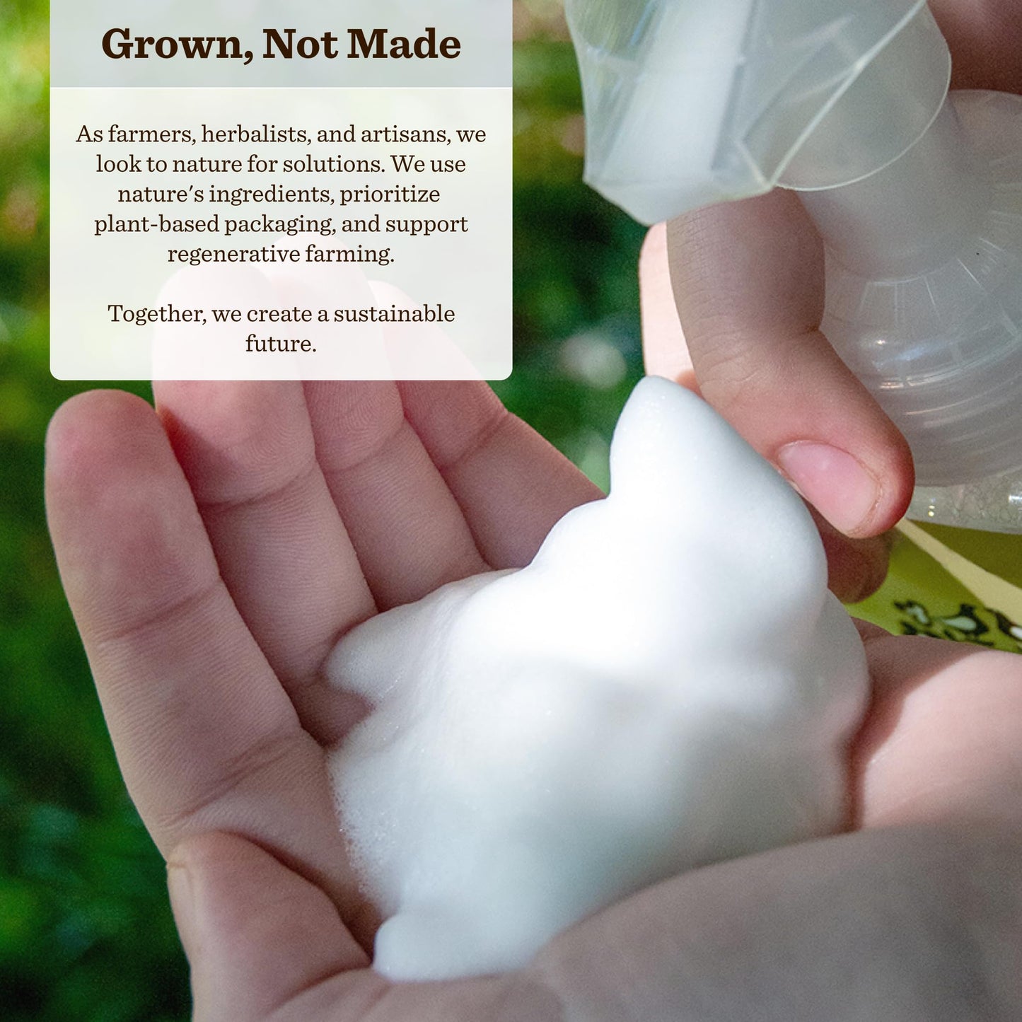 Moon Valley Herbal Foaming Hand Soap, Vegan (First Frost, Recyclable Bottle) Beauty & Personal Care Moon Valley Organics