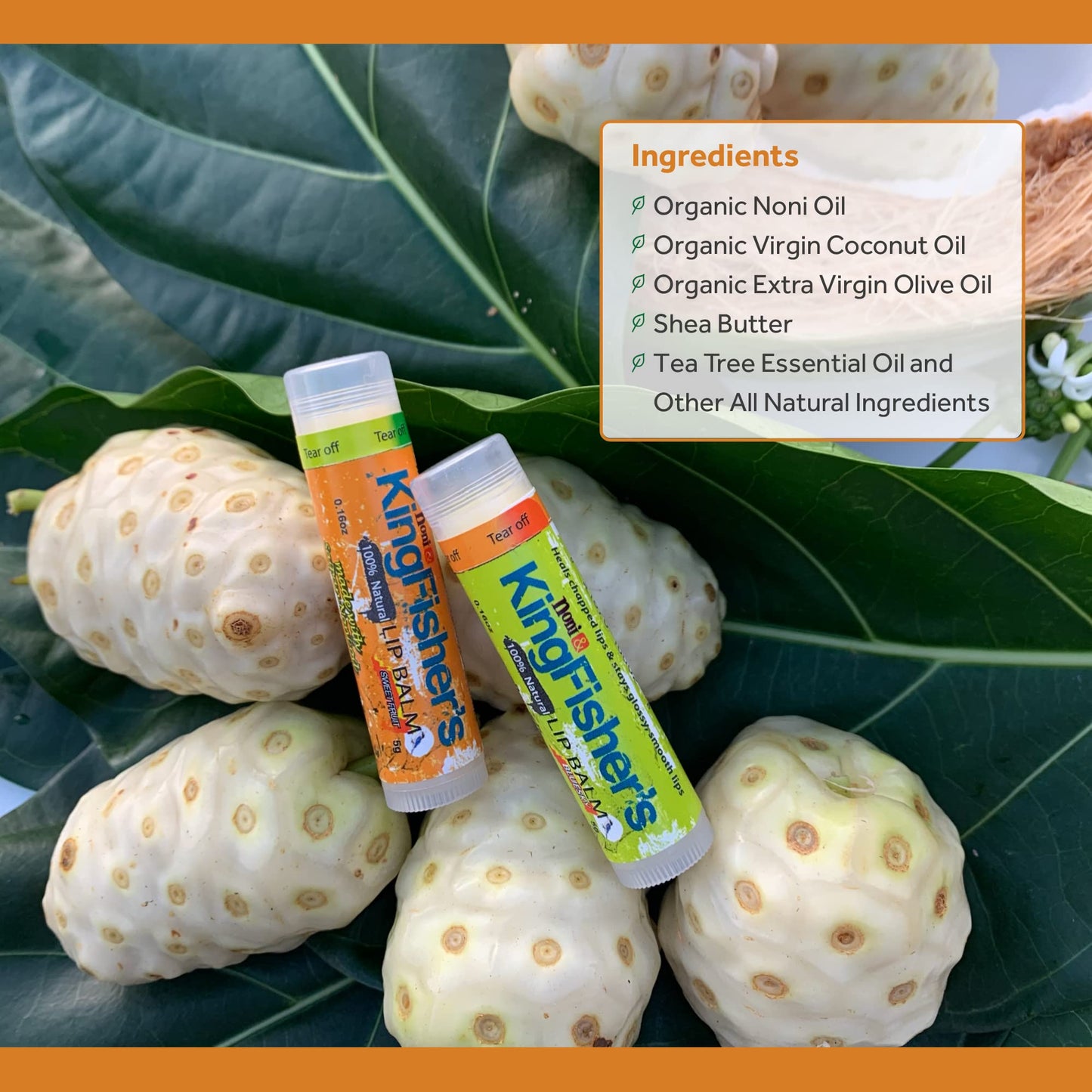 Kingfisher's Noni Lip Balm - Ultra-Hydrating Lip Care with Noni Oil & Virgin Coconut Oil - 100% Natural, Pack of 2 (Sweet Orange & Mint) Beauty and Personal Care Kingfisher's Noni