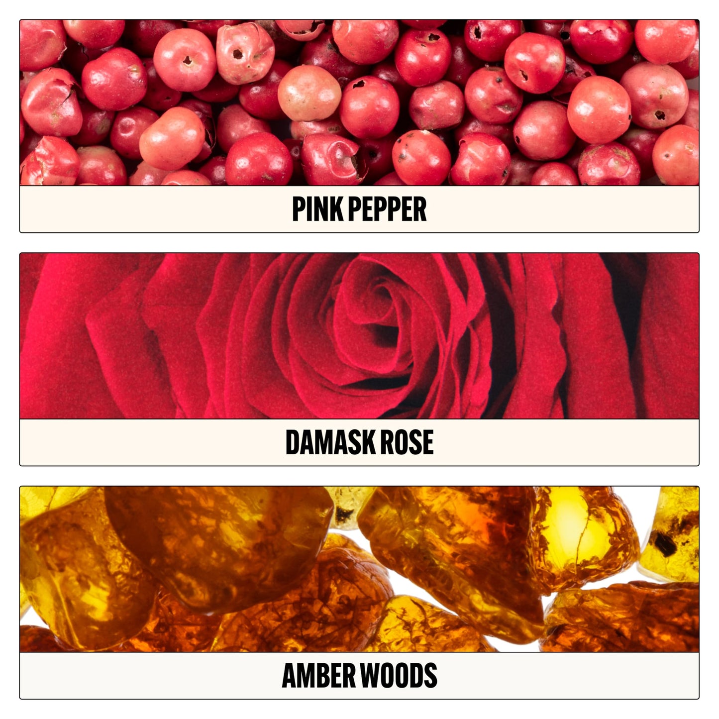 Le Monde Gourmand Disney Alice in Wonderland Rouge de Cœur Perfume Spray Eau de Parfum, Spiced Pink Pepper, Damask Rose & Amber Woods Spray Perfume Beauty & Personal Care Le Monde Gourmand