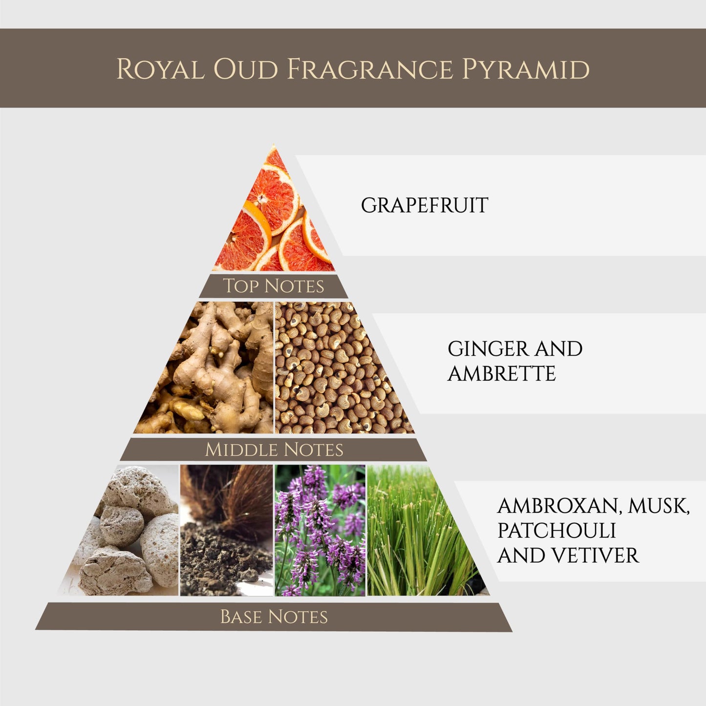 Maison GHandour Royal Oud Silver | Luxury Perfume for Men | Musk Perfume | Oud Cologne with Notes of Grapefruit, Ginger, and Amber | 100ml Eau de Beauty & Personal Care Maison GHandour