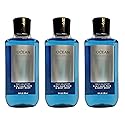 Lot of 3 Bath and Body Works Ocean Signature Collection 2 in 1 Hair Shampoo Body Wash for Men 10 Fl Oz Beauty & Personal Care Bath & Body Works