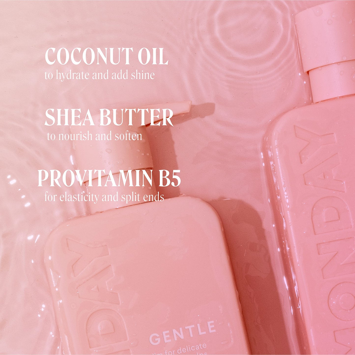 MONDAY HAIRCARE Gentle Shampoo + Conditioner Set (2 Pack) 12oz Each for Normal to Delicate Hair Types, Made from Coconut Oil Beauty & Personal Care MONDAY HAIRCARE