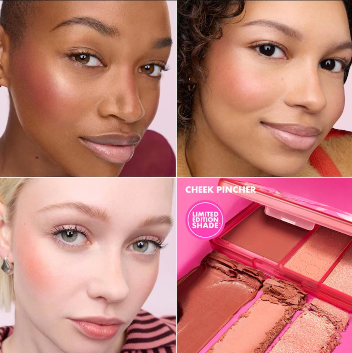 Sephora Collection Perfectly Blushed Set - Blush Palette in Cheek Pincher And Duo Cheek Brush