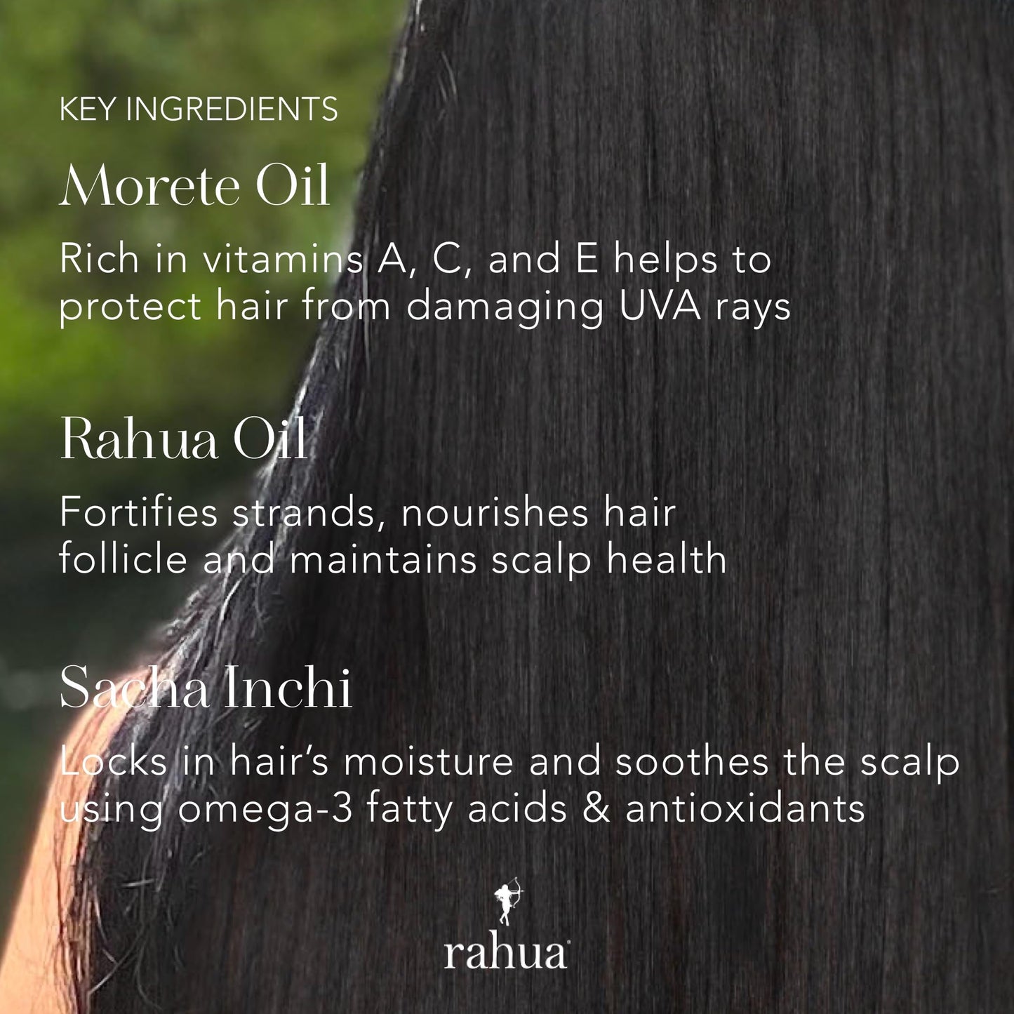 Rahua Hydration Shampoo, Vegan Moisturizing Shampoo for Dry, Damaged, or Curly Hair, Sulfate Free Hydrating Formula Oil, Morete, Sacha Inchi, Tropical Beauty & Personal Care Rahua