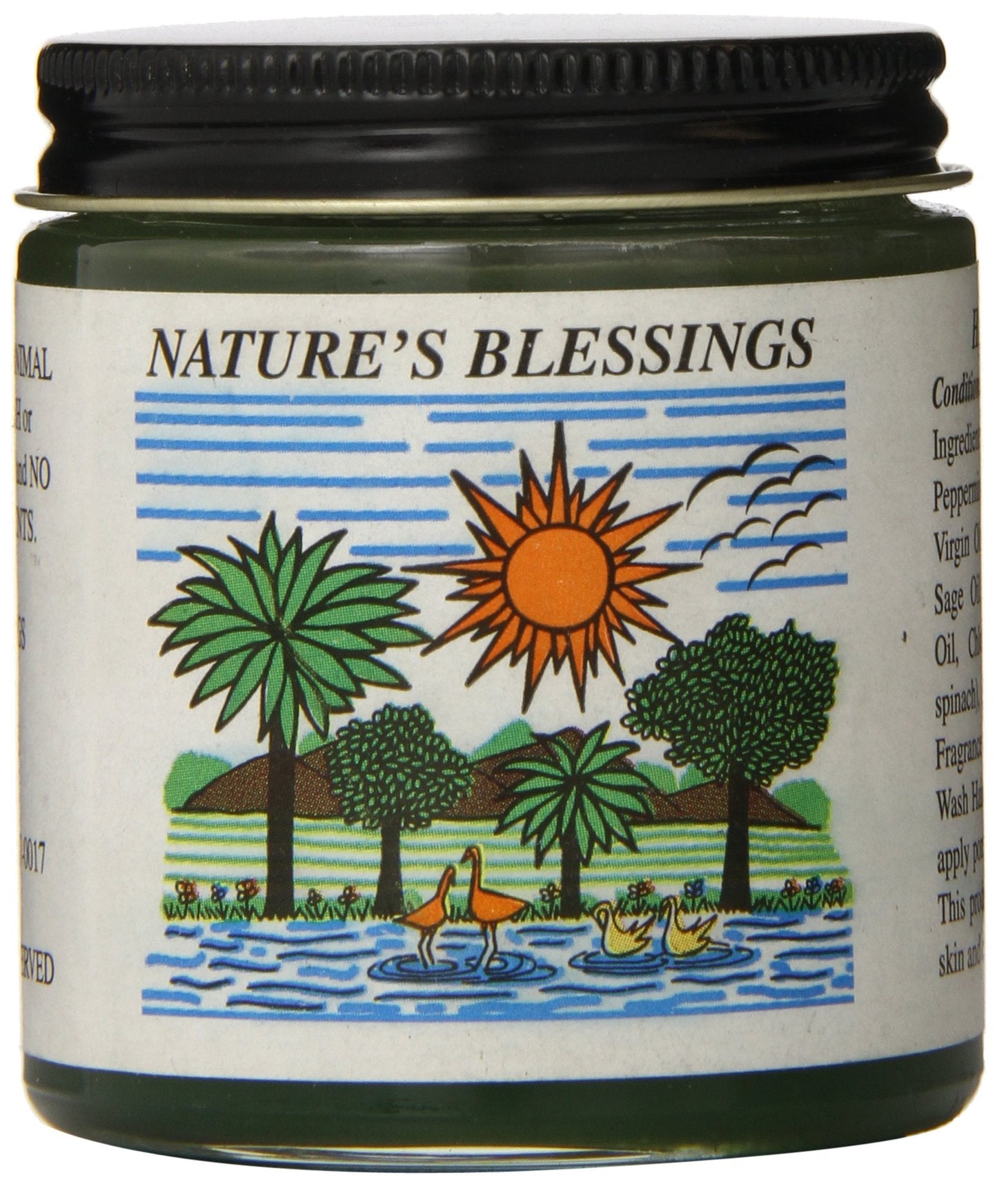 Nature's Blessings Hair Pomade 4 oz. Beauty & Personal Care Mystic Essence