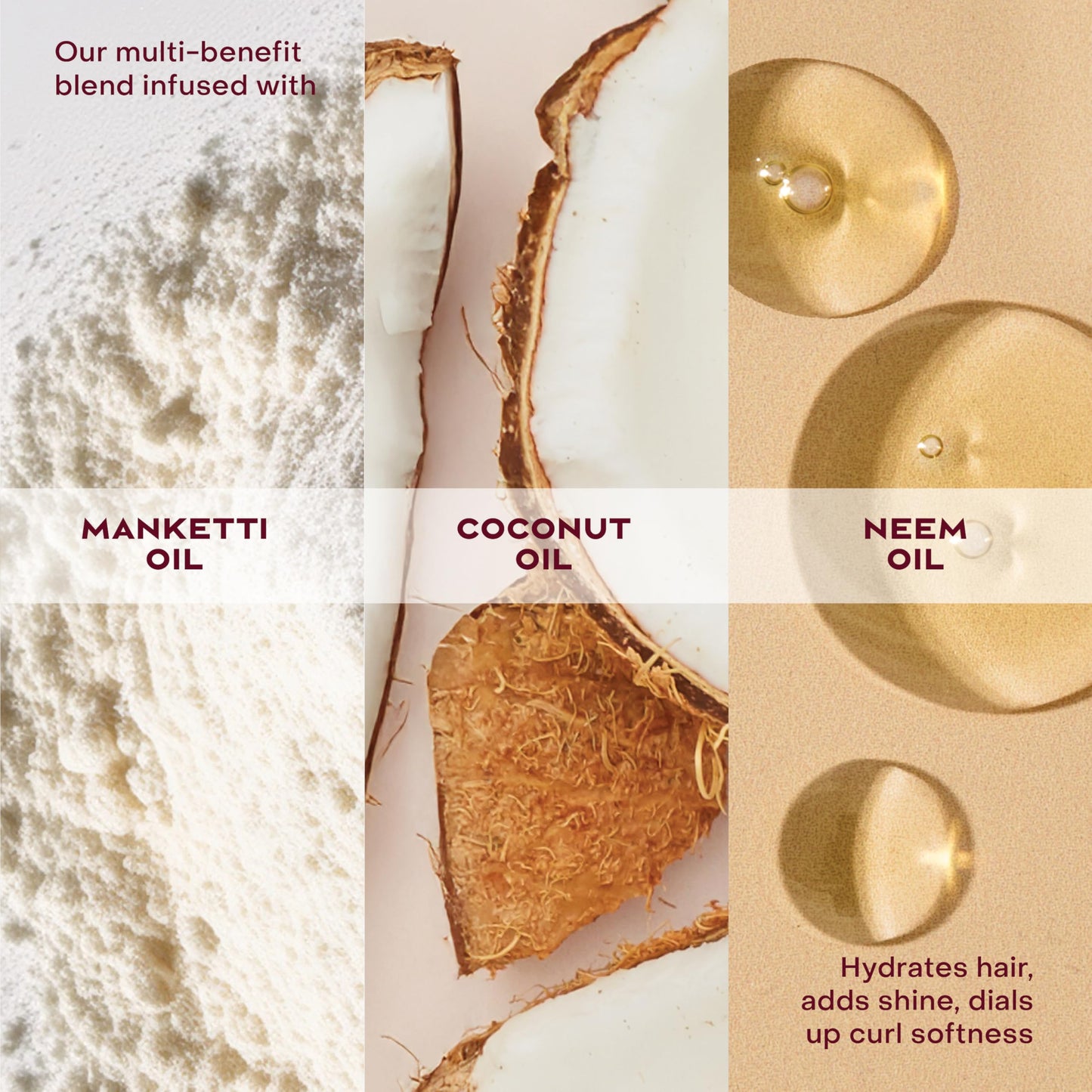 Shea Moisture Coconut & Hibiscus Smooth & Shine Oil Coconut & Hibiscus Softens And Hydrates Hair With Manketti And Coconut Oil For A Lightweight Beauty and Personal Care Shea Moisture