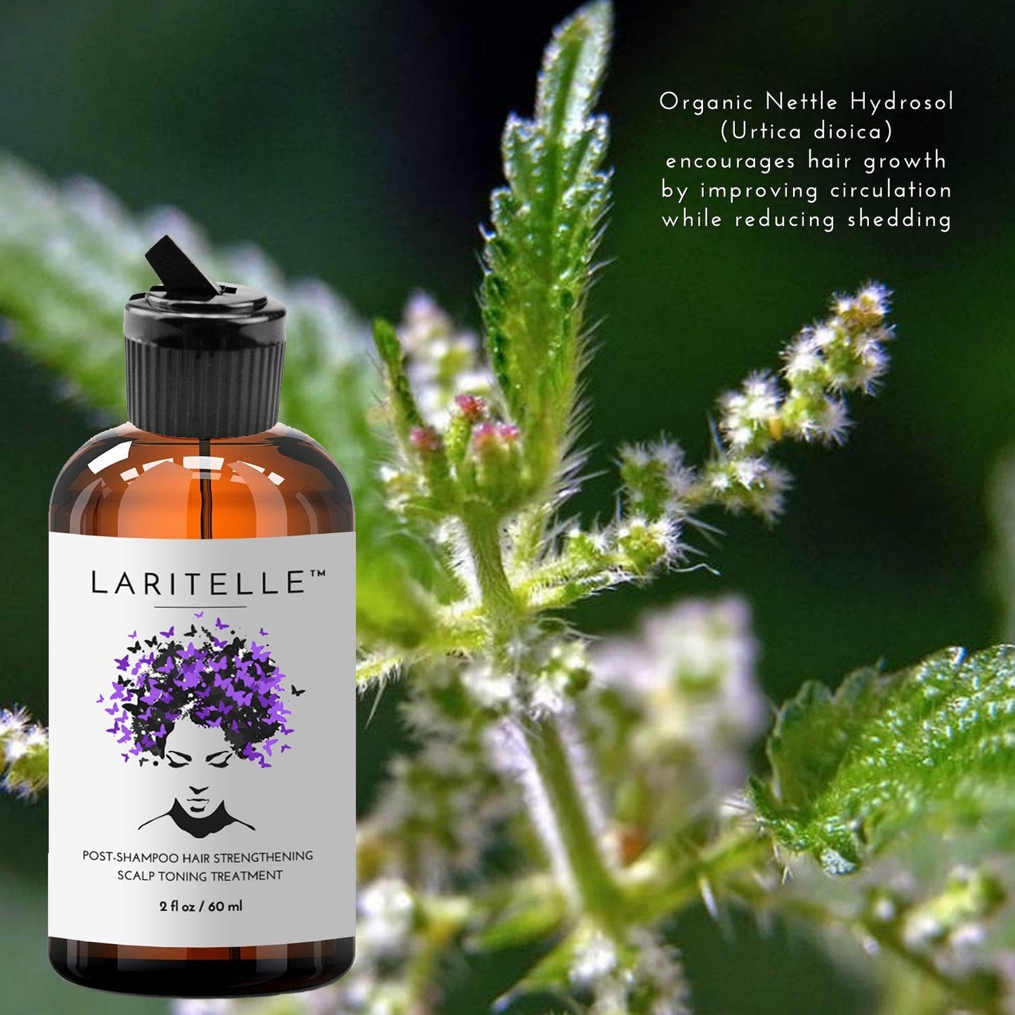 Laritelle Organic Post-Shampoo Hair Strengthening & Scalp Toning Treatment - Rosemary, Saw Palmetto, Cedar & Nettle Hydrosols - 3 x 2 oz Beauty & Personal Care Laritelle