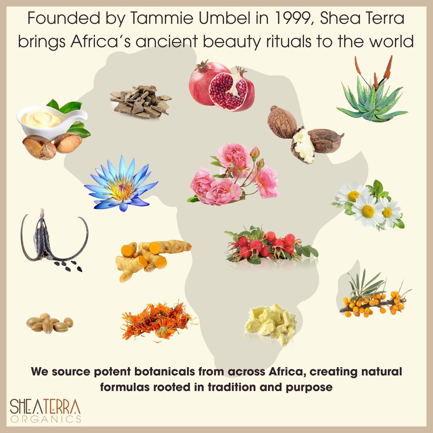 Shea Terra Rwandan Maracuja Cold-Pressed Extra Virgin Oil, All Natural Emollient Oil Rich in Vitamin C for Supporting Super Soft, Glowing, Youthful Beauty & Personal Care Shea Terra Organics