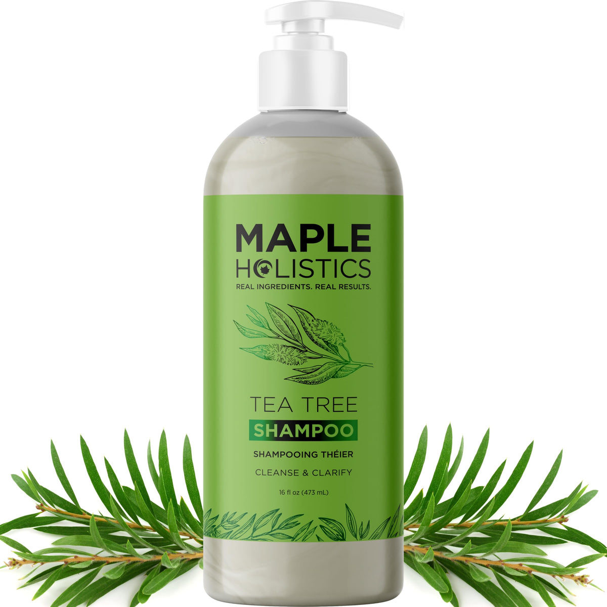 Clarifying Shampoo for Build Up & Oily Hair - Tea Tree Shampoo for Men and Women with Rosemary Essential Oil for Oily Hair and Scalp - Color Safe Beauty & Personal Care Maple Holistics