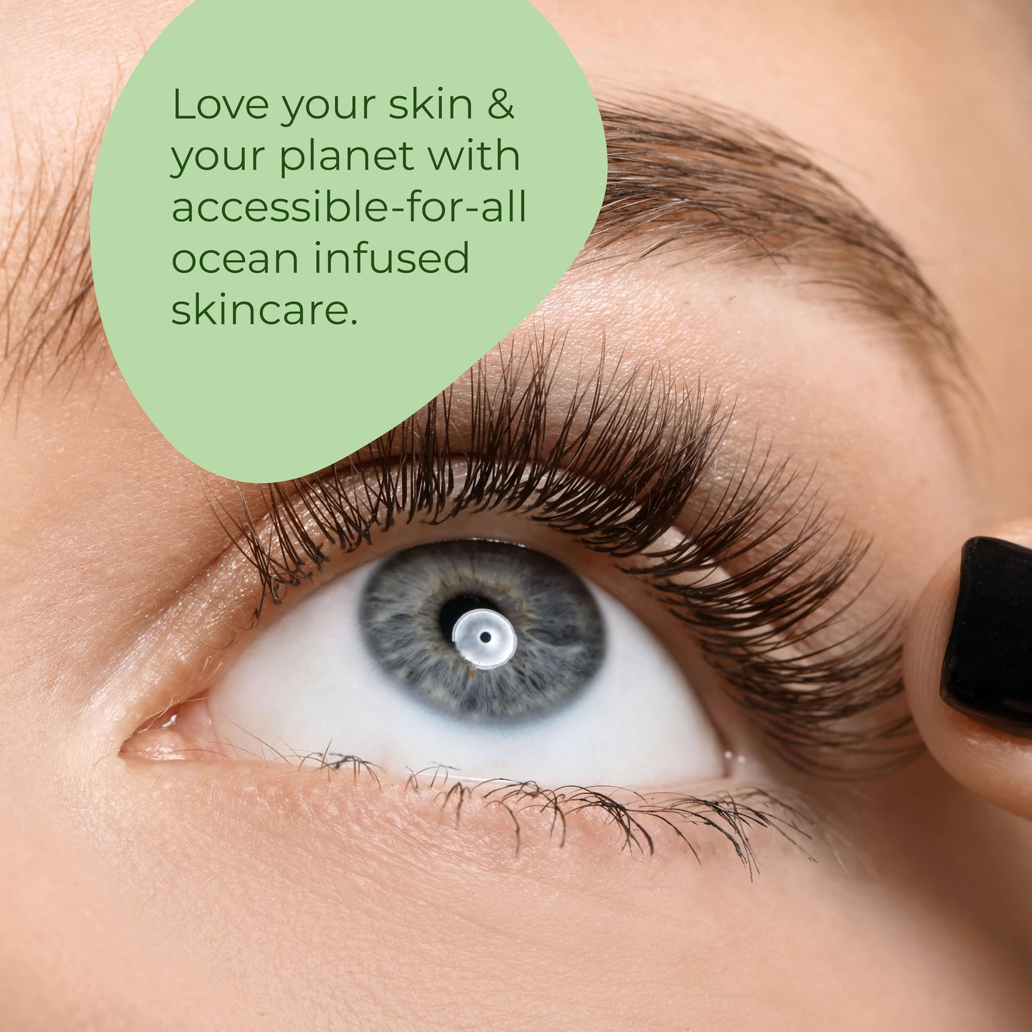 Sea-el Castor Lash & Brow Serum (w 10% Black Seed Oil) 1 oz Beauty & Personal Care Sea-El