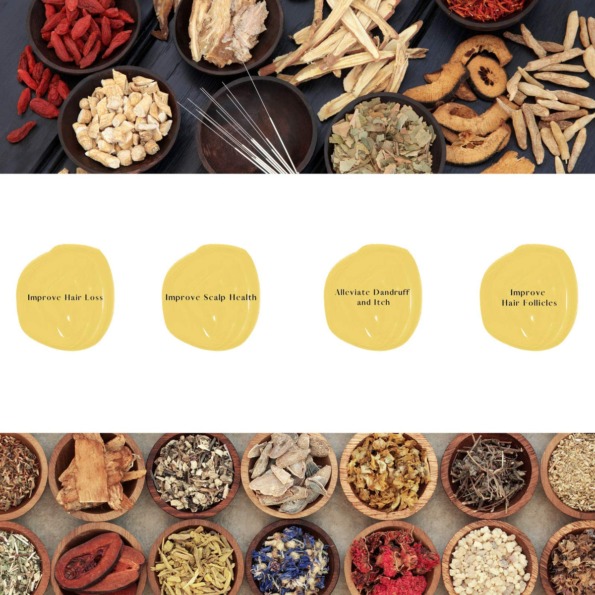Daeng Gi Meo Ri- Ki Gold Premium Treatment