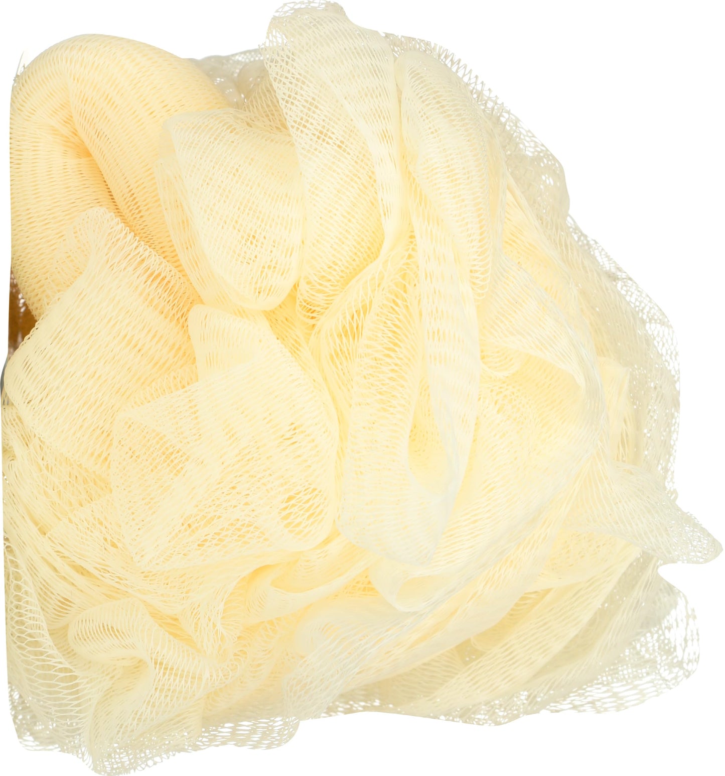 Earth Therapeutics, Sponge Hydro Body, 1 Count Beauty and Personal Care Earth Therapeutics
