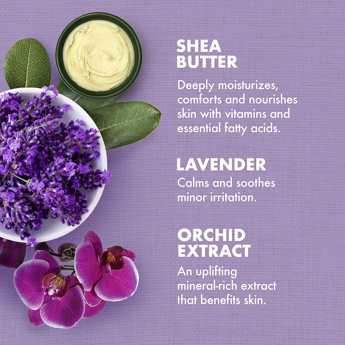 SheaMoisture Bath, Body and Massage Oil Lavender Wild Orchid Calming Moisturizer for Sensitive Skin 8 oz Beauty & Personal Care Shea Moisture