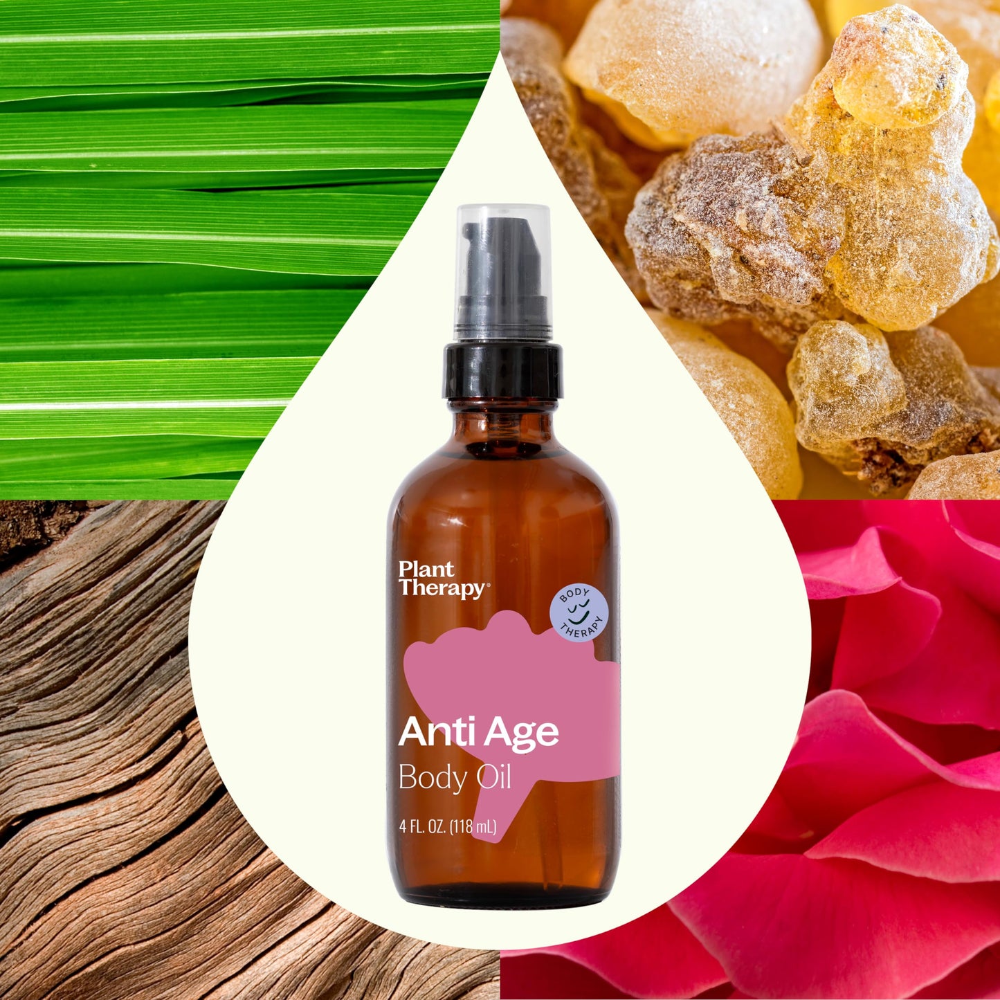 Plant Therapy Anti Age Body Oil 4 oz Locks in Moisture for Supple, Radiant Looking Skin, Helps Reduce the Appearance of Fine Lines, Made Beauty & Personal Care Plant Therapy