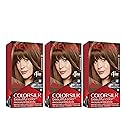 Revlon Permanent Hair Color, Permanent Hair Dye, Colorsilk with 100% Gray Coverage, Ammonia-Free, Keratin and Amino Acids, 43 Medium Golden Brown, 4.4 Beauty & Personal Care REVLON